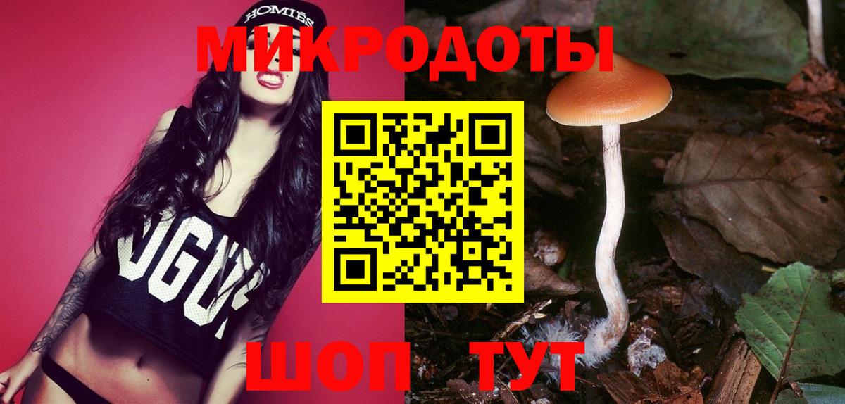 Галлюциногенные грибы Psilocybe  Галлюциногенные грибы GOLDEN TEACHER  Нижний Новгород  даркнет сайт  Вход с VPN 